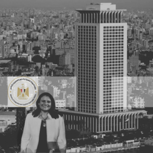 التقرير الثاني:  كيف استجابت القاهرة للكارثة؟