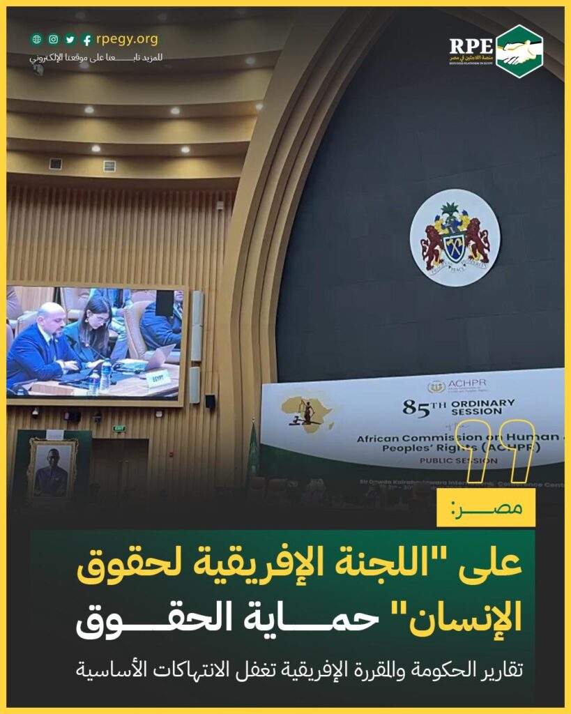مصر: على "اللجنة الإفريقية لحقوق الإنسان" حماية الحقوق.. تقارير الحكومة والمقررة الإفريقية تغفل الانتهاكات الأساسية